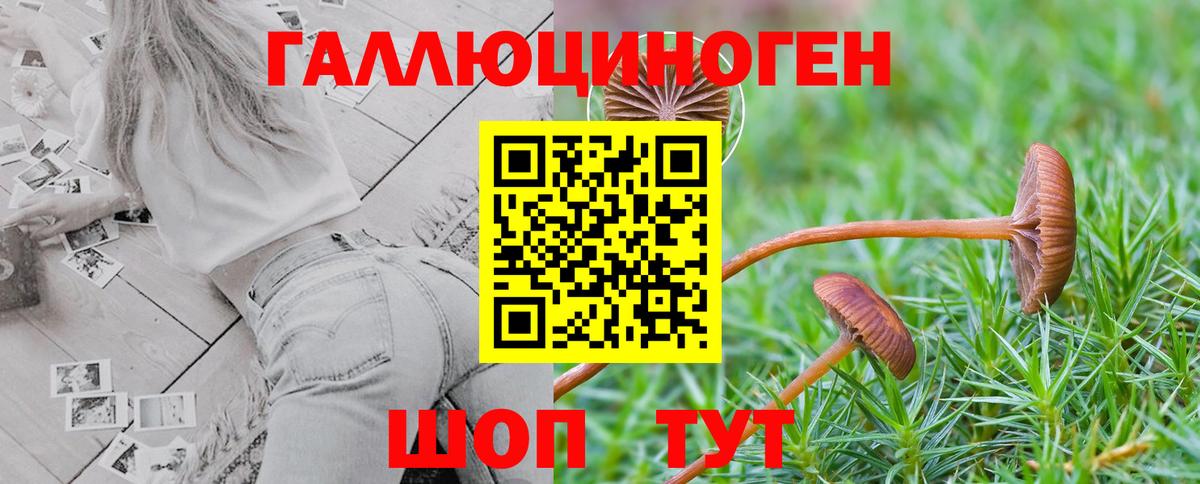 Псилоцибиновые грибы GOLDEN TEACHER Верхняя Салда